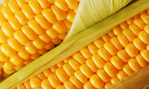 Корисні вітаміни в кукурудзі