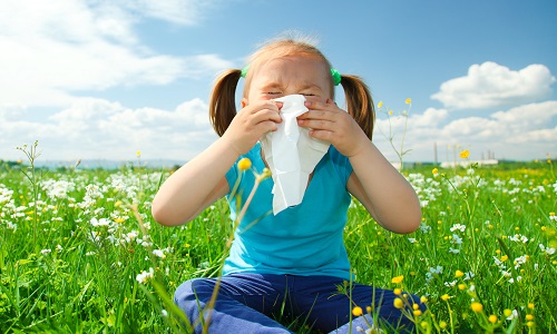 Як вилікувати алергію у дитини народними засобами